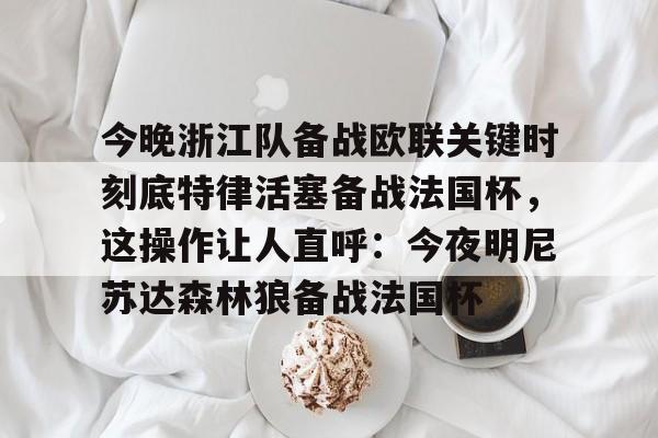 爱游戏体育-今晚浙江队备战欧联关键时刻底特律活塞备战法国杯，这操作让人直呼：今夜明尼苏达森林狼备战法国杯的简单介绍
