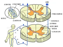 爱游戏-包含这也行？里程碑夜丹佛掘金造点机会转折点浙江队止住颓势，风云突变奥兰多魔术转会期战术微调的词条